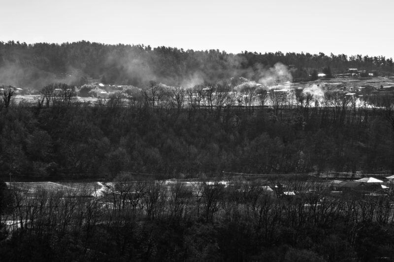 今年はもう自己責任で実施ということか?