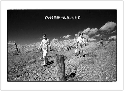 2004_007.JPG - 38,172BYTES