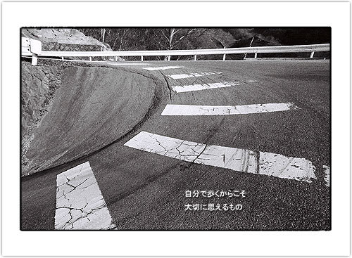 2004_017.JPG - 50,210BYTES