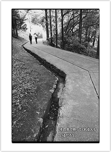 2004_019.JPG - 53,159BYTES