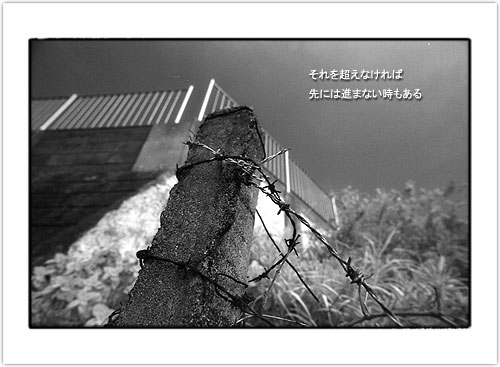 2004_022.JPG - 33,067BYTES