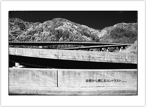 2004_027.JPG - 43,071BYTES