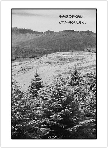 2004_031.JPG - 43,932BYTES