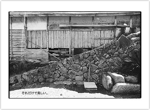 2004_035.JPG - 50,071BYTES