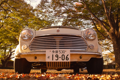 秋の乾いた足下に