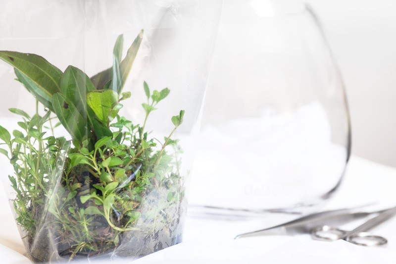 試行錯誤が楽しい