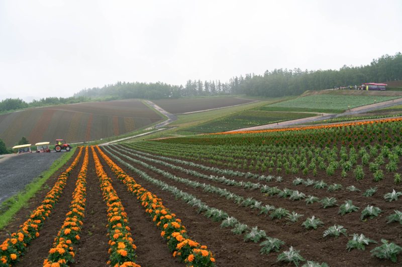 北海道の真ん中のほうへ （５）