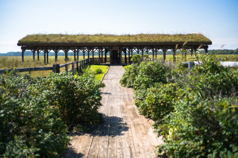 北海道短期集中観光 2017.9（5）