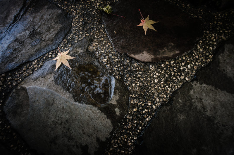 ゆっくりしたかった