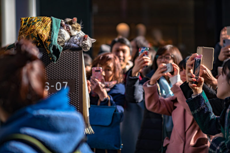 新しい事を目指す時はプロだって集まって勉強する