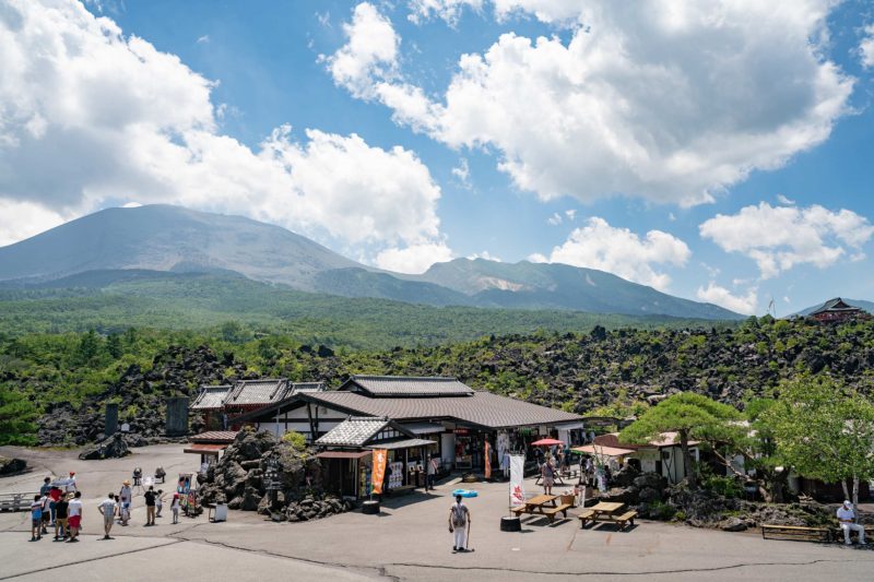 大自然の力強さを、異常なくらい暑い日に見にいった