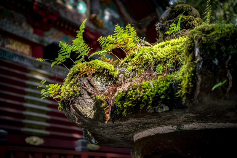 お手本の美しさから学ぶ