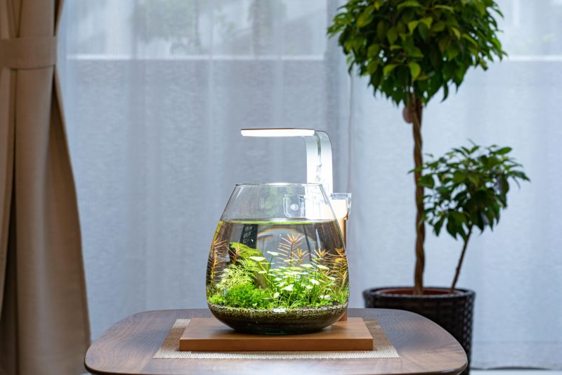 コンパクトなオーバル水槽にもリッチな光を