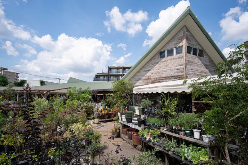 久しぶりにフラワーショップを訪れる