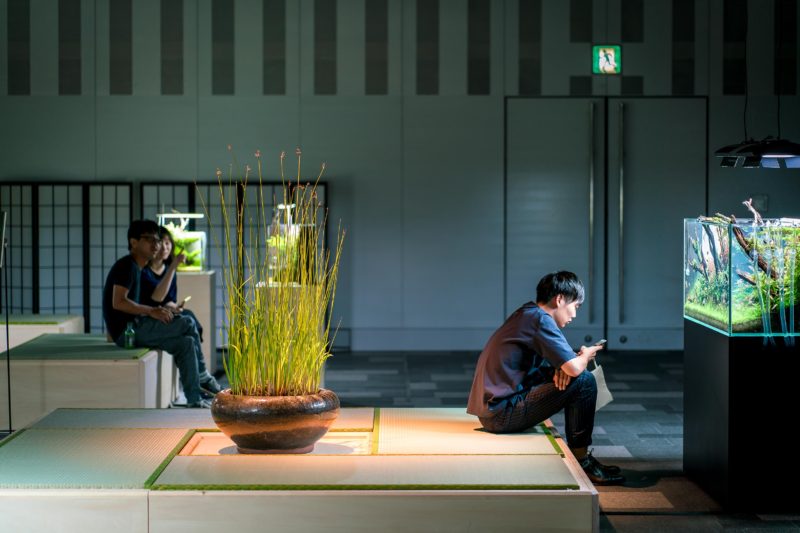 我が家のアクアはもう少ししたらリセットを検討