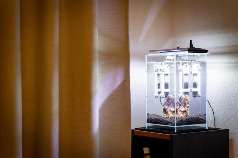 水槽をリセット、ひとまず魚が住める環境を確保