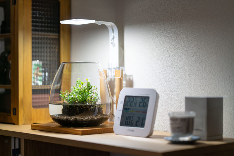 グラスアクアリウムもリセットする