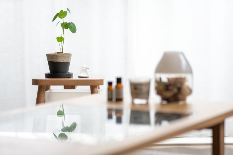 ピエレイ今年の成長は15cmほどか