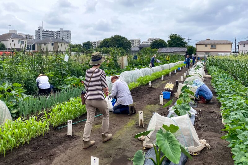 農の体験塾　2023（９）