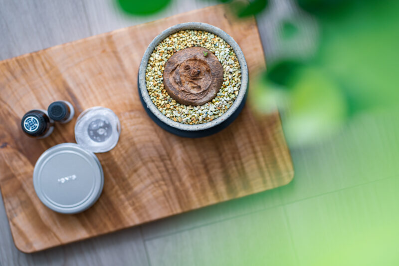 ピエレイ（エレクタ？）を植え替えた