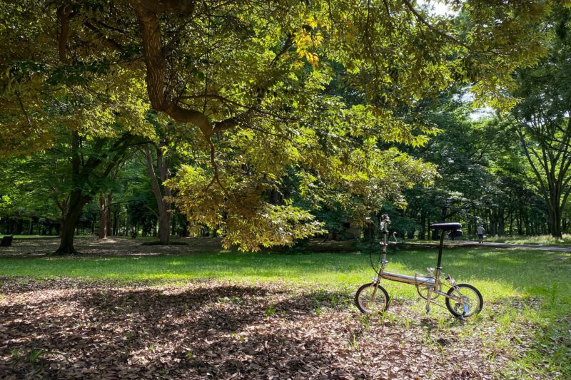 穏やかに体を動かす
