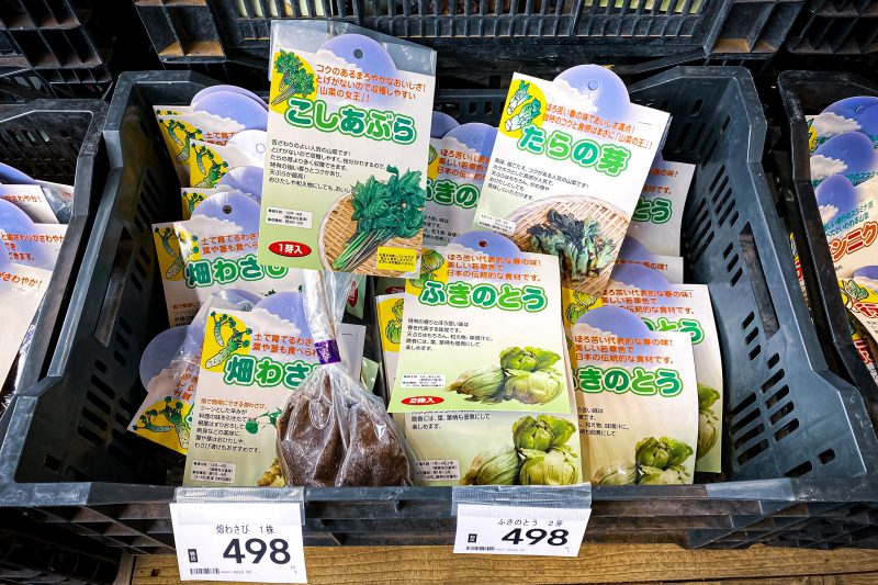 山菜も自宅で作れるなら