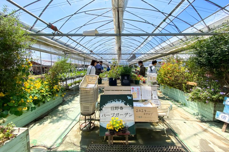 花壇も春らしくなってきた