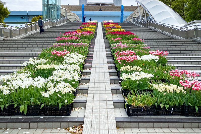 学びのイベントで学ぶこと