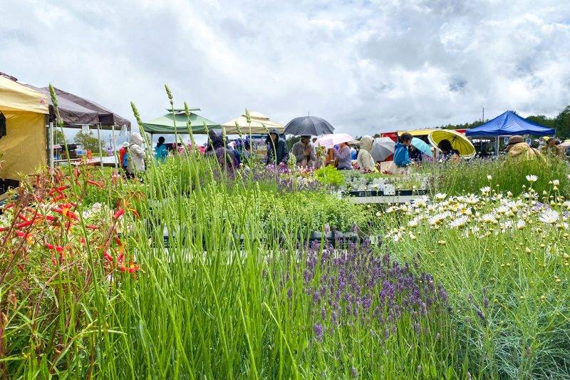 八ヶ岳 FARMERS MARKET（２）