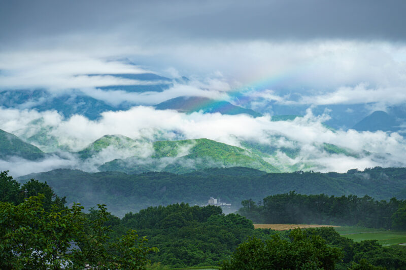 天気と睨めっこの農薬散布