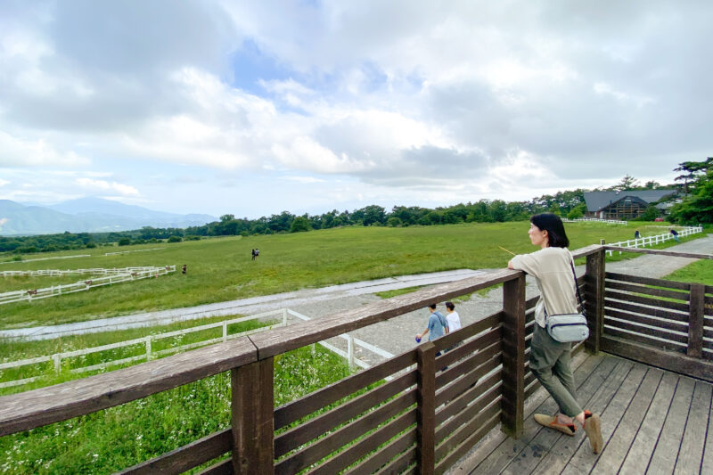 清里といえばここが有名らしい