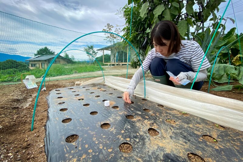 もう秋は始まっています