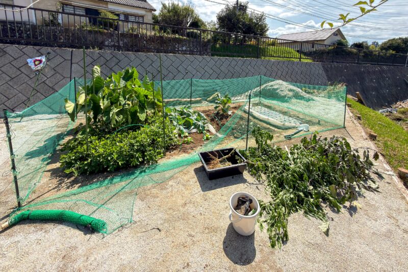 ナス・シシトウは、ほうれん草・小松菜へ