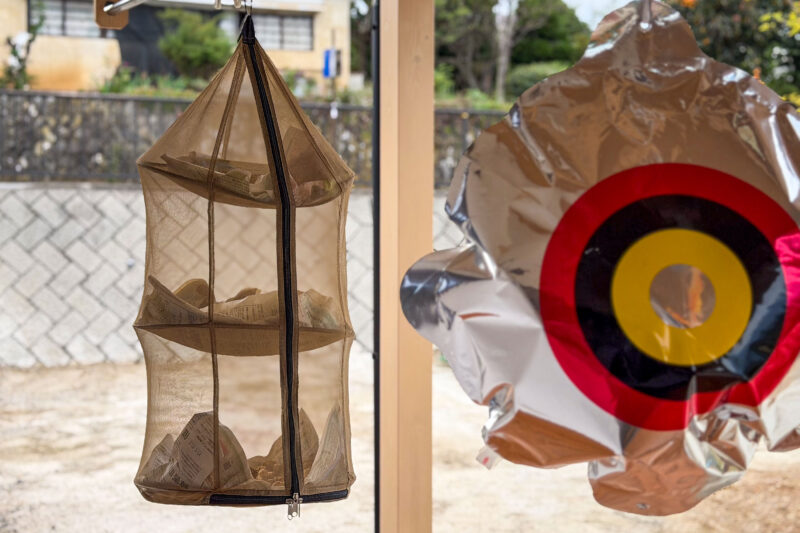 今年も落花生は焙煎して最高のピーナッツに