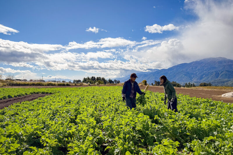 プロ農家さんの心遣い、そして本気を見た