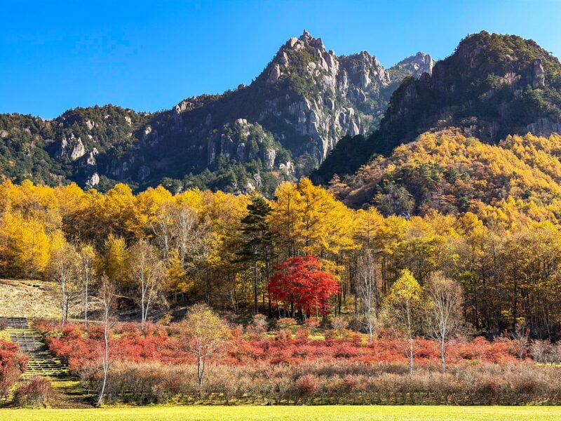山梨は今最高に綺麗な時期