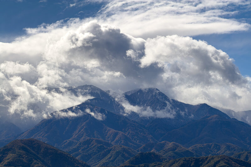 落ち葉のシーズン