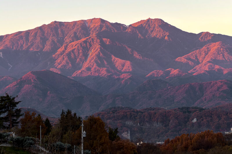日周運動で目を覚ます