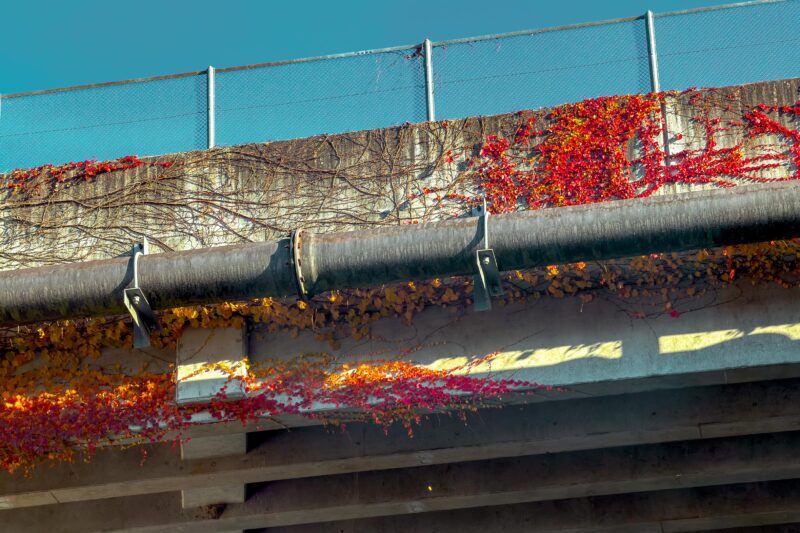 体がついていきません