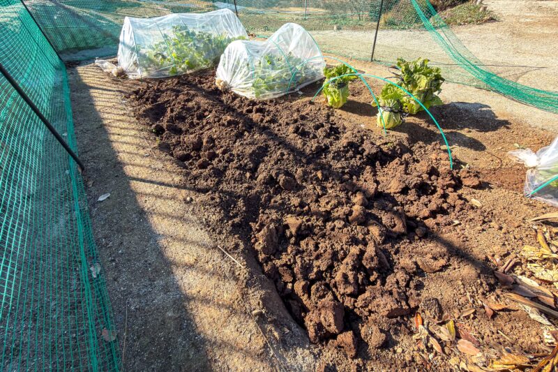 寒さをも味方につけて土づくりをする