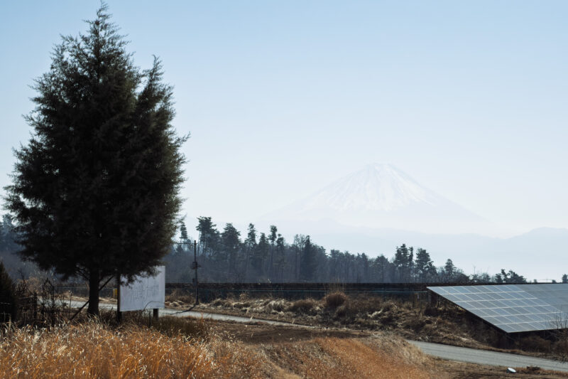 今年の春は尋常ではない