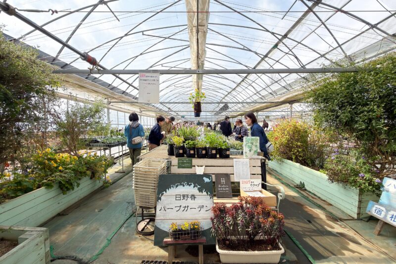 今年のハーブガーデンを見に行く