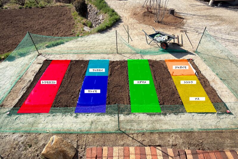 2026年の畑が見えた