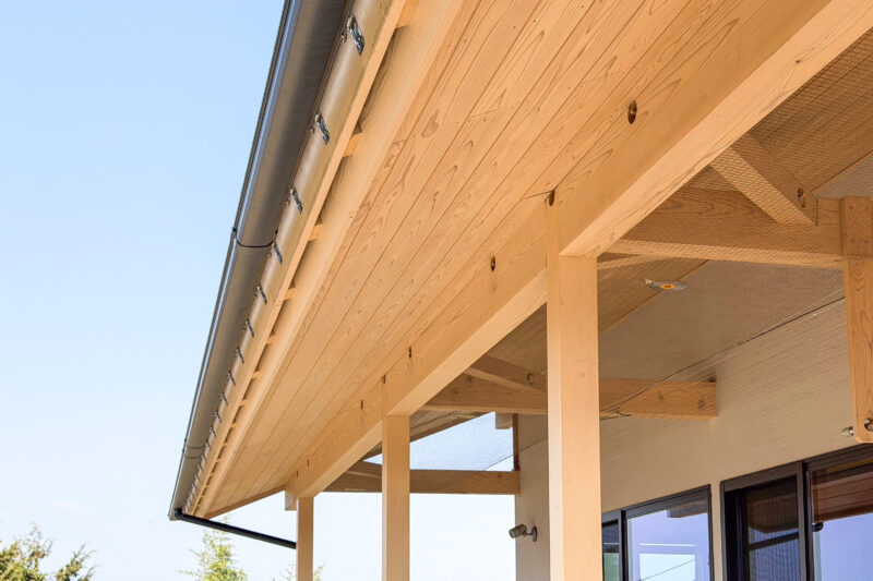 春にやるべきこと