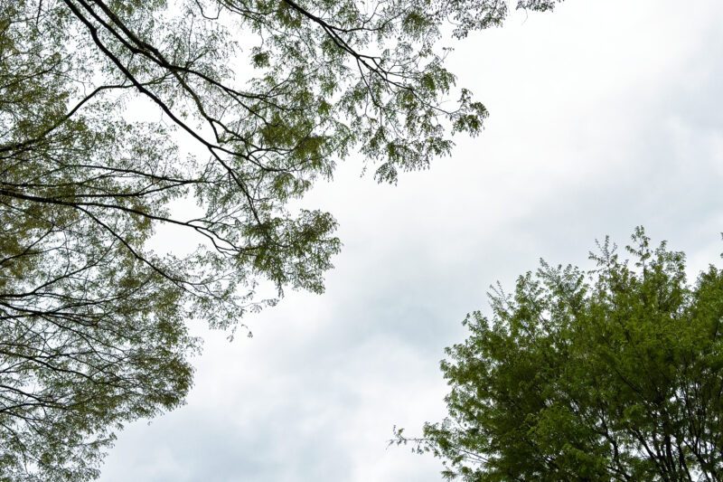 春に感じること